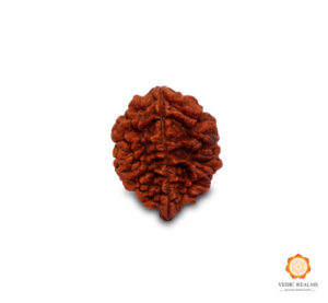 2-MUKHI-VEDIC-REALMS