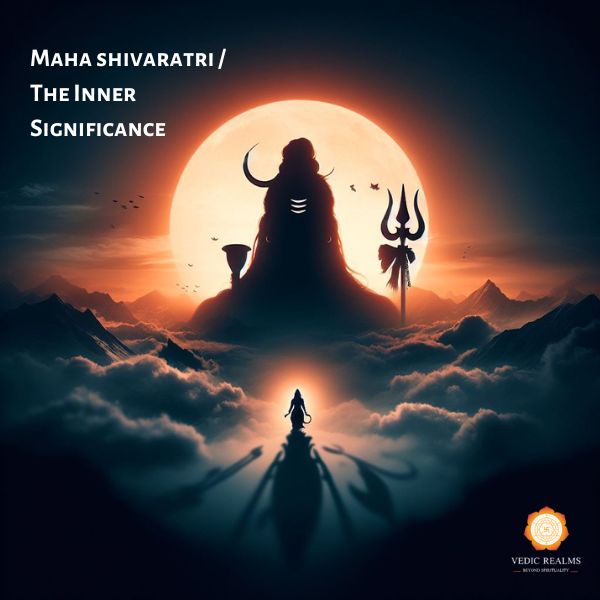 Importance Of Rudraksha On Maha Shivratri