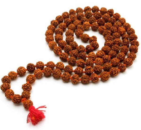 1 Mukhi Rudraksha Mala