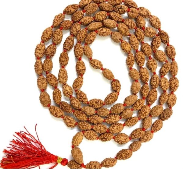 2 Mukhi Rudraksha Mala