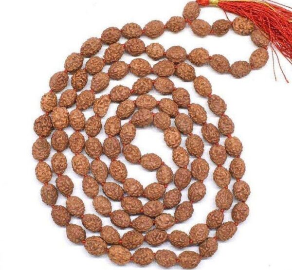 4 Mukhi Rudraksha Mala