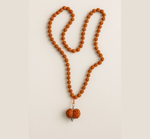 2 Mukhi Rudraksha Mala