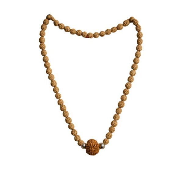 4 Mukhi Rudraksha Mala