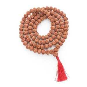 10 Mukhi Rudraksha Mala