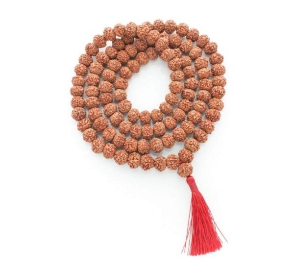 10 Mukhi Rudraksha Mala