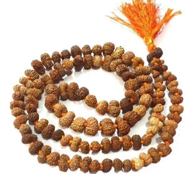 12 Mukhi Rudraksha Mala