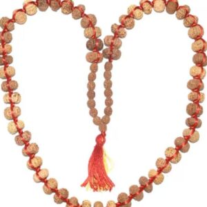 13 Mukhi Rudraksha Mala