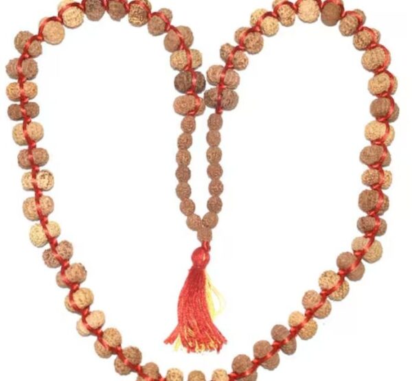 13 Mukhi Rudraksha Mala