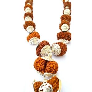 14 mukhi Rudraksha mala