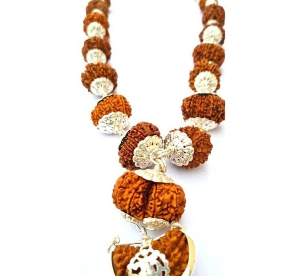 14 mukhi Rudraksha mala