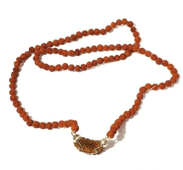 5 Mukhi Rudraksha Mala