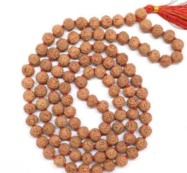 6 Mukhi Rudraksha Mala