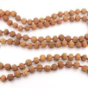 8 MUKHI RUDRAKSHA MALA