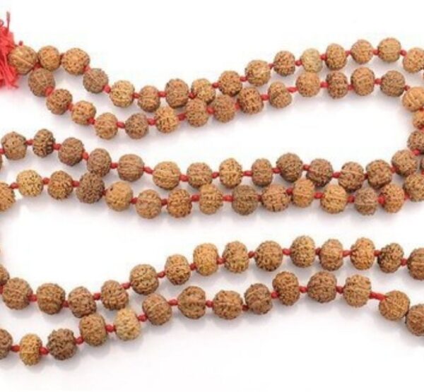 8 MUKHI RUDRAKSHA MALA