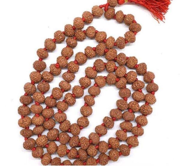 9 Mukhi Rudaksha Mala