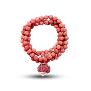 11 Mukhi Rudraksha Mala