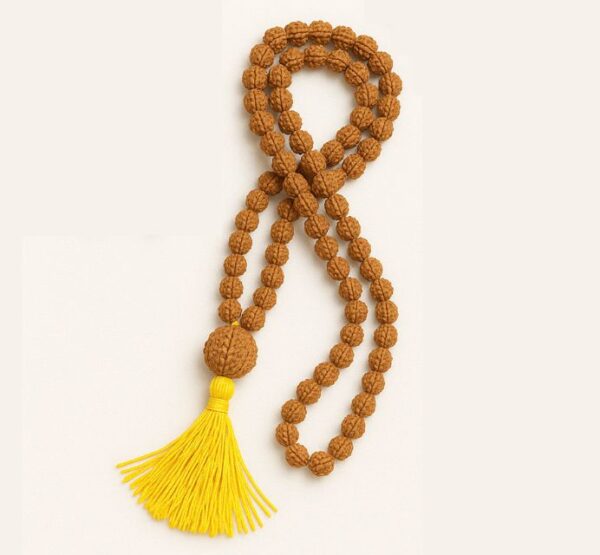 10 Mukhi Rudraksha Mala