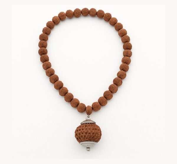 9 Mukhi Rudraksha Mala