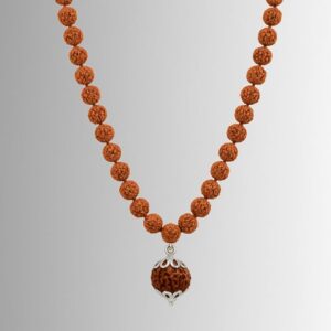 6 Mukhi Rudraksha Mala
