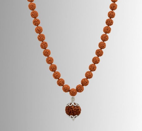 6 Mukhi Rudraksha Mala