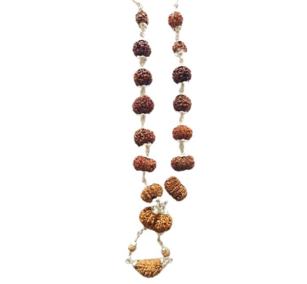 15 Mukhi Rudraksha Mala