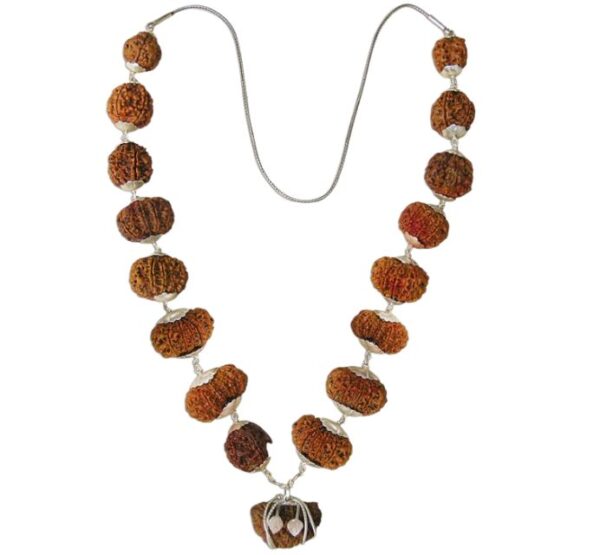 16 Mukhi Rudraksha Mala