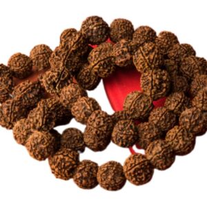 17 Mukhi Rudraksha Mala