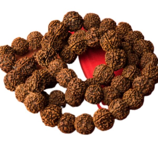 17 Mukhi Rudraksha Mala