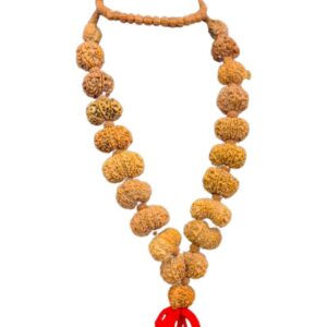 18 Mukhi Rudraksha Mala