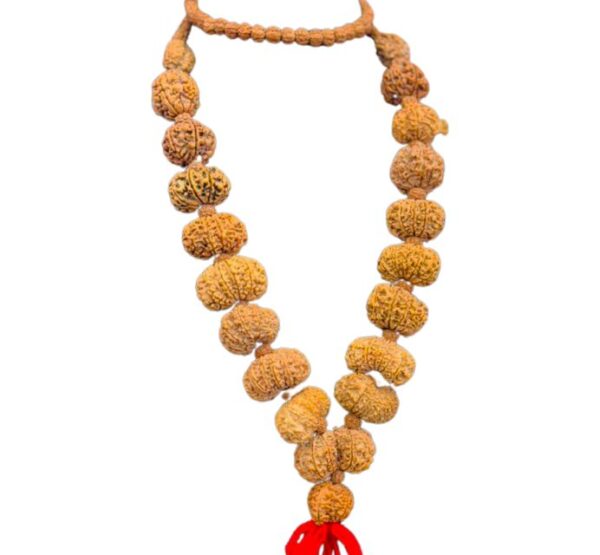 18 Mukhi Rudraksha Mala