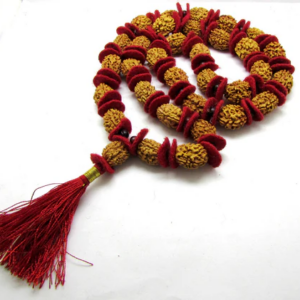 21 mukhi rudraksha mala